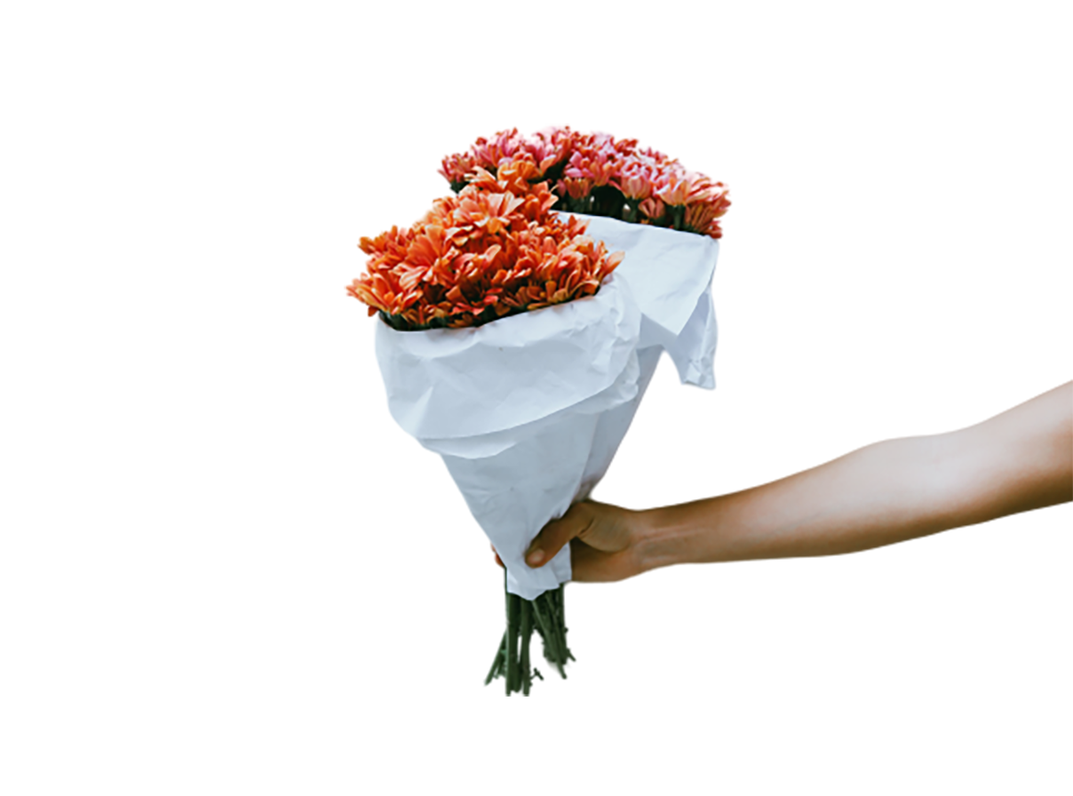 Bouquet of tuberose flower in hand transparent background PNG
