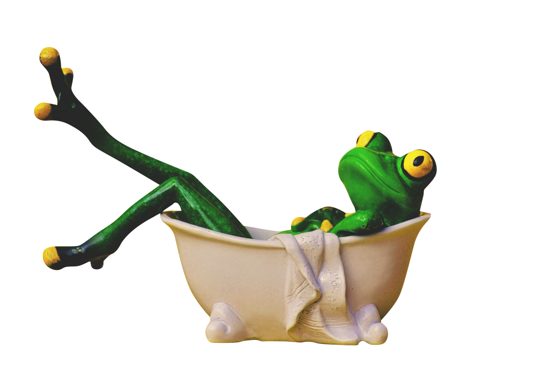 Frog Taking Bath Transparent Background PNG