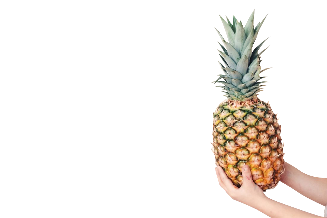 Hand holding pineapple Transparent Background PNG