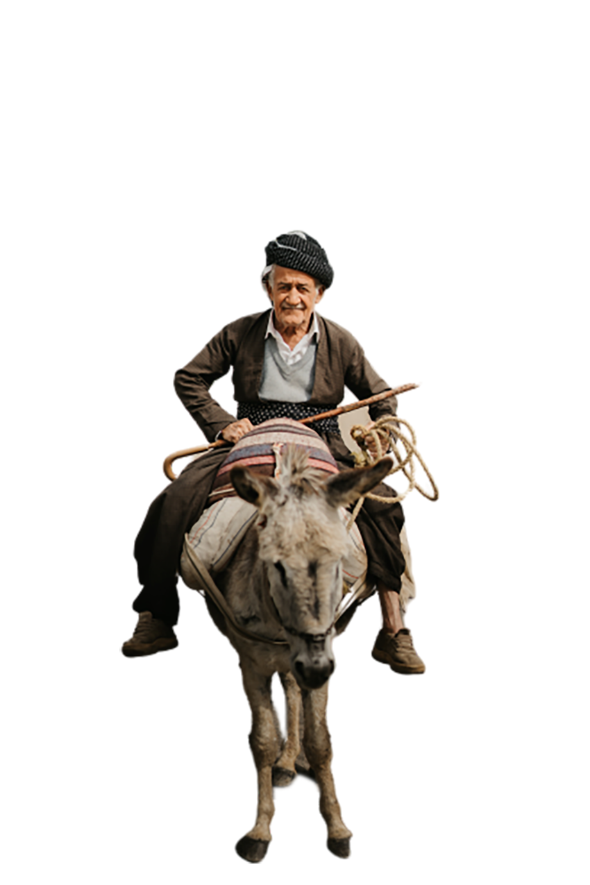 Old man on the mule transparent background PNG