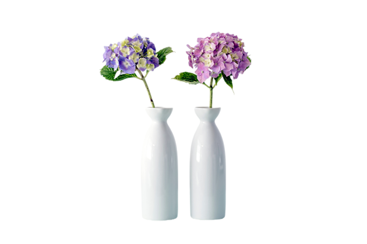 Flowers in the vase transparent background PNG