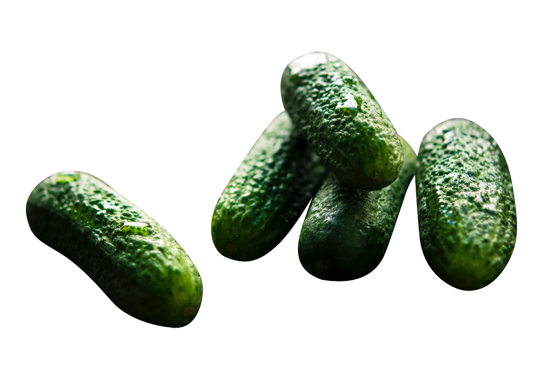 Pickled Cucumber Transparent Background PNG