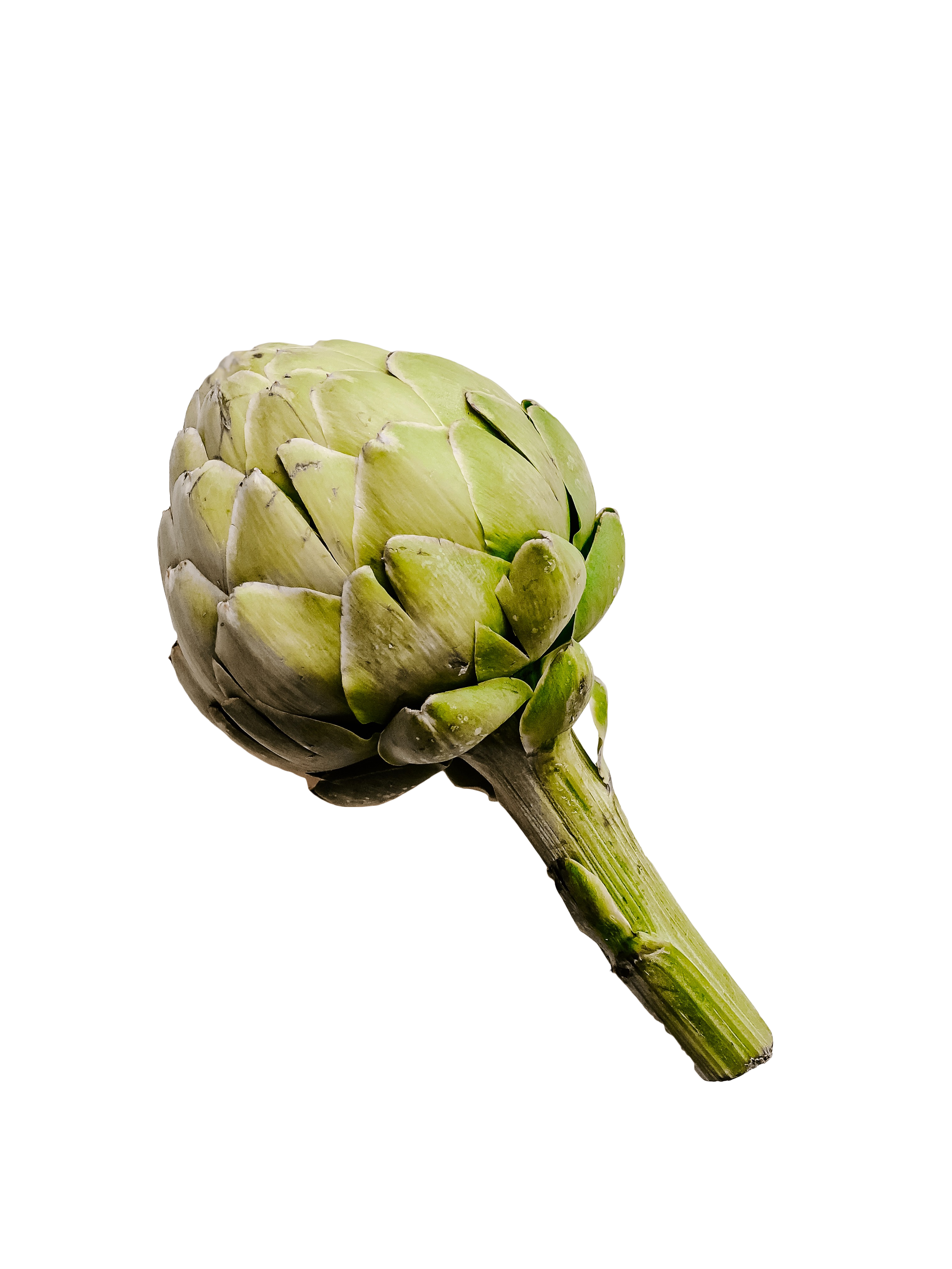 Artichoke Vegetable Transparent Background PNG