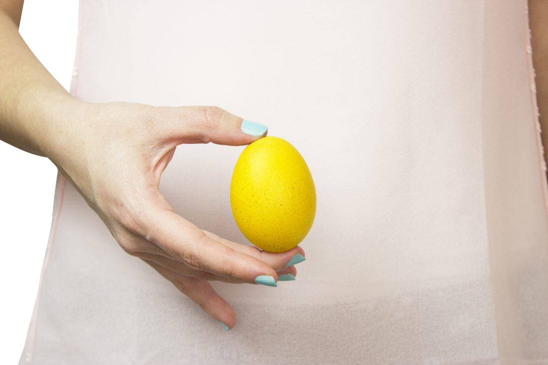Yellow Easter Egg in Hand Transparent Background PNG
