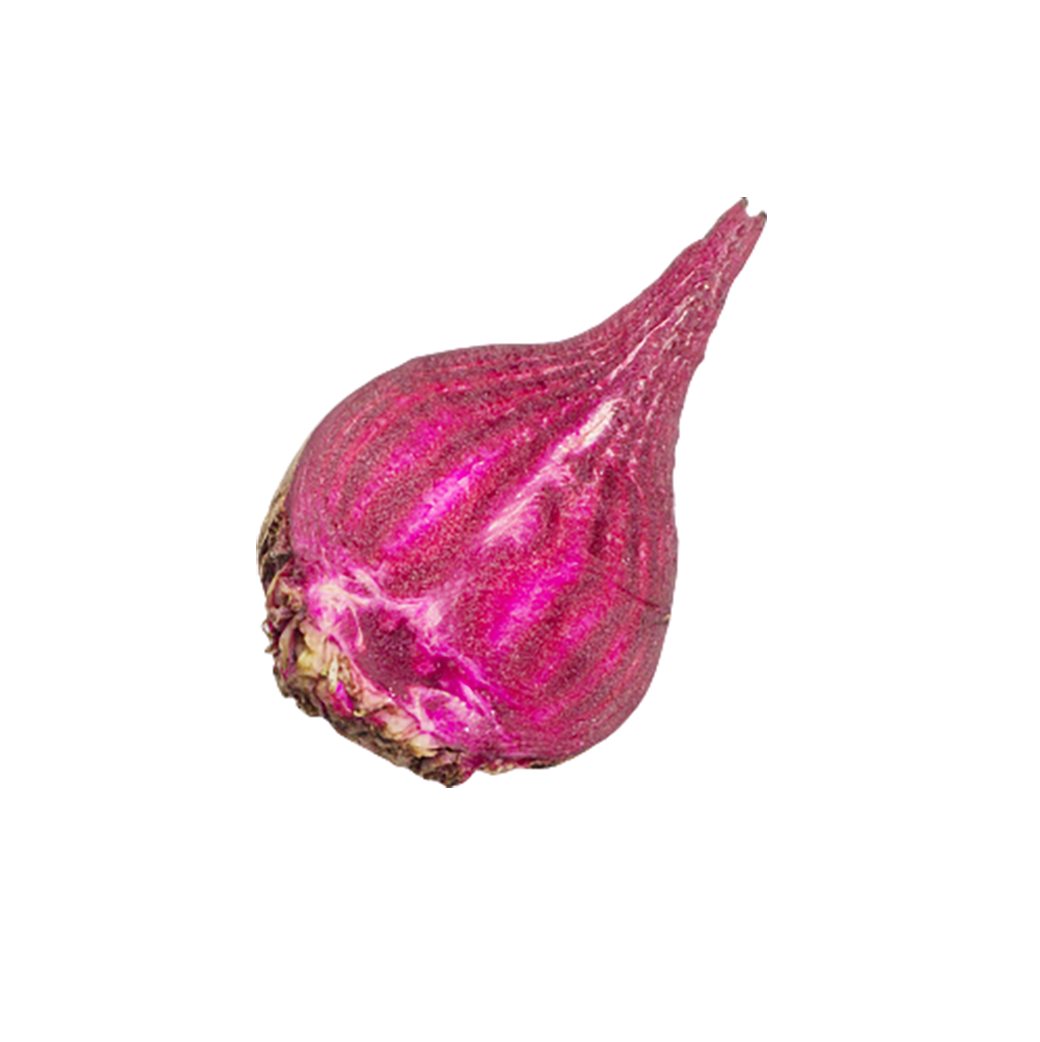 pink colored onion transparent background PNG