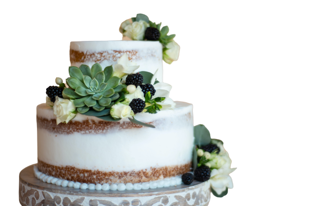 Two tired white cake decorated transparent background PNG