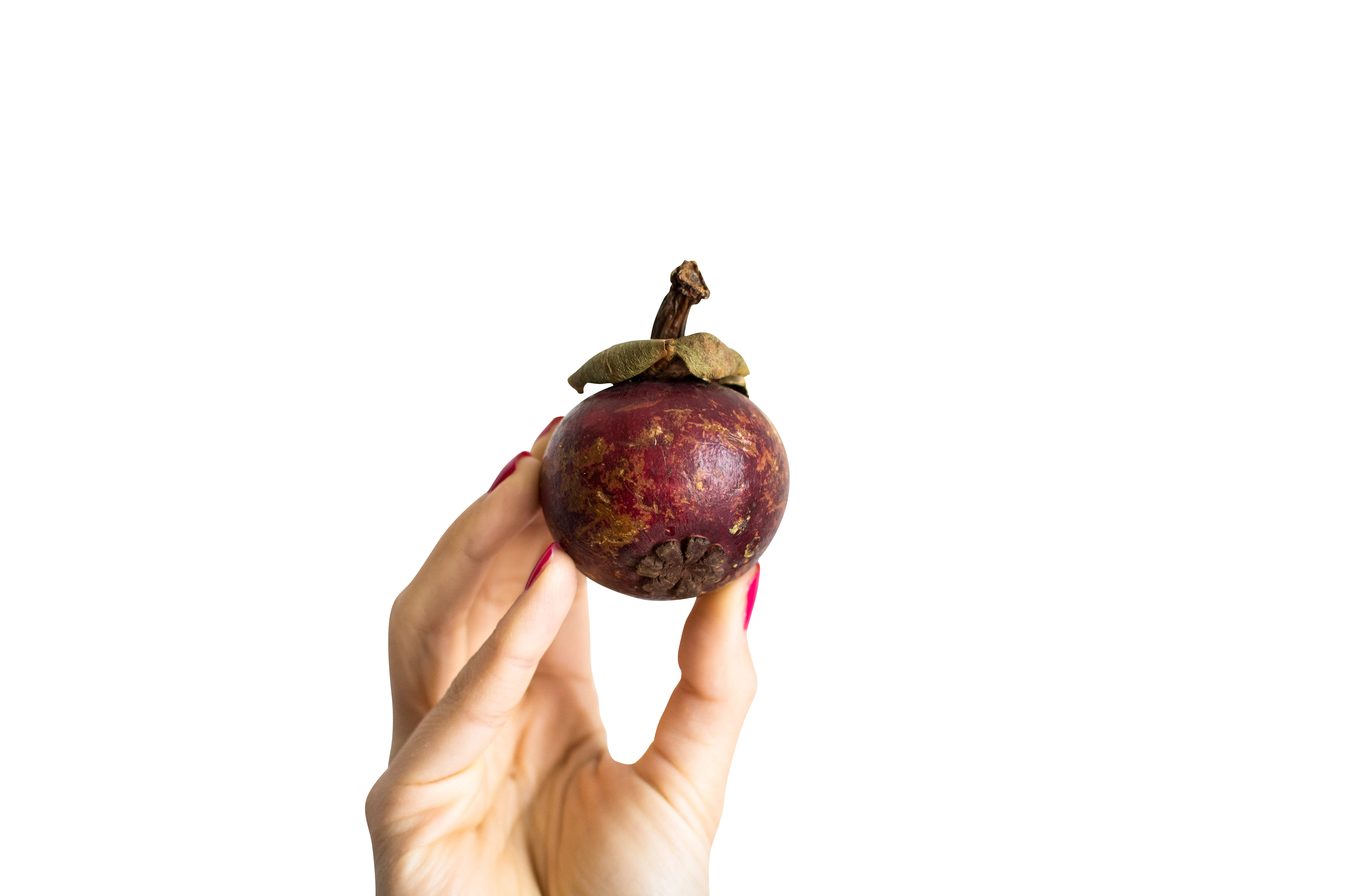 Mangosteen Fruit Hand Transparent Background PNG