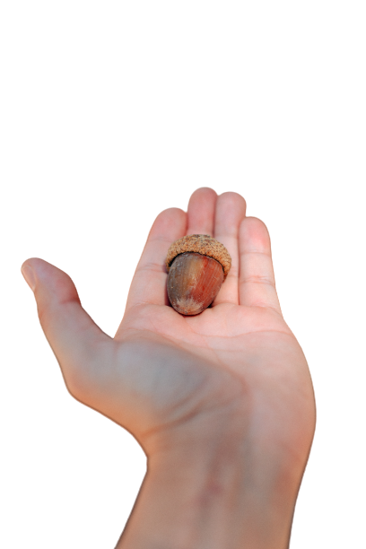 Date in hand transparent background PNG