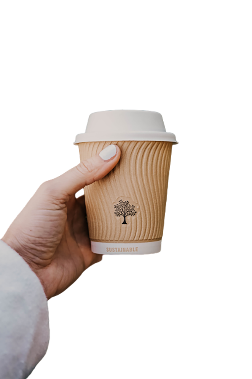 Sustainable coffee cup in hand transparent background PNG